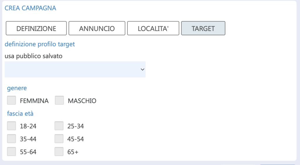 crea pubblico personalizzato linkedin ads pubblico campagna linkedin ads