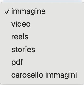 pubblica tipologia post immagine, video, reels, stories, pdf, carosello immagini